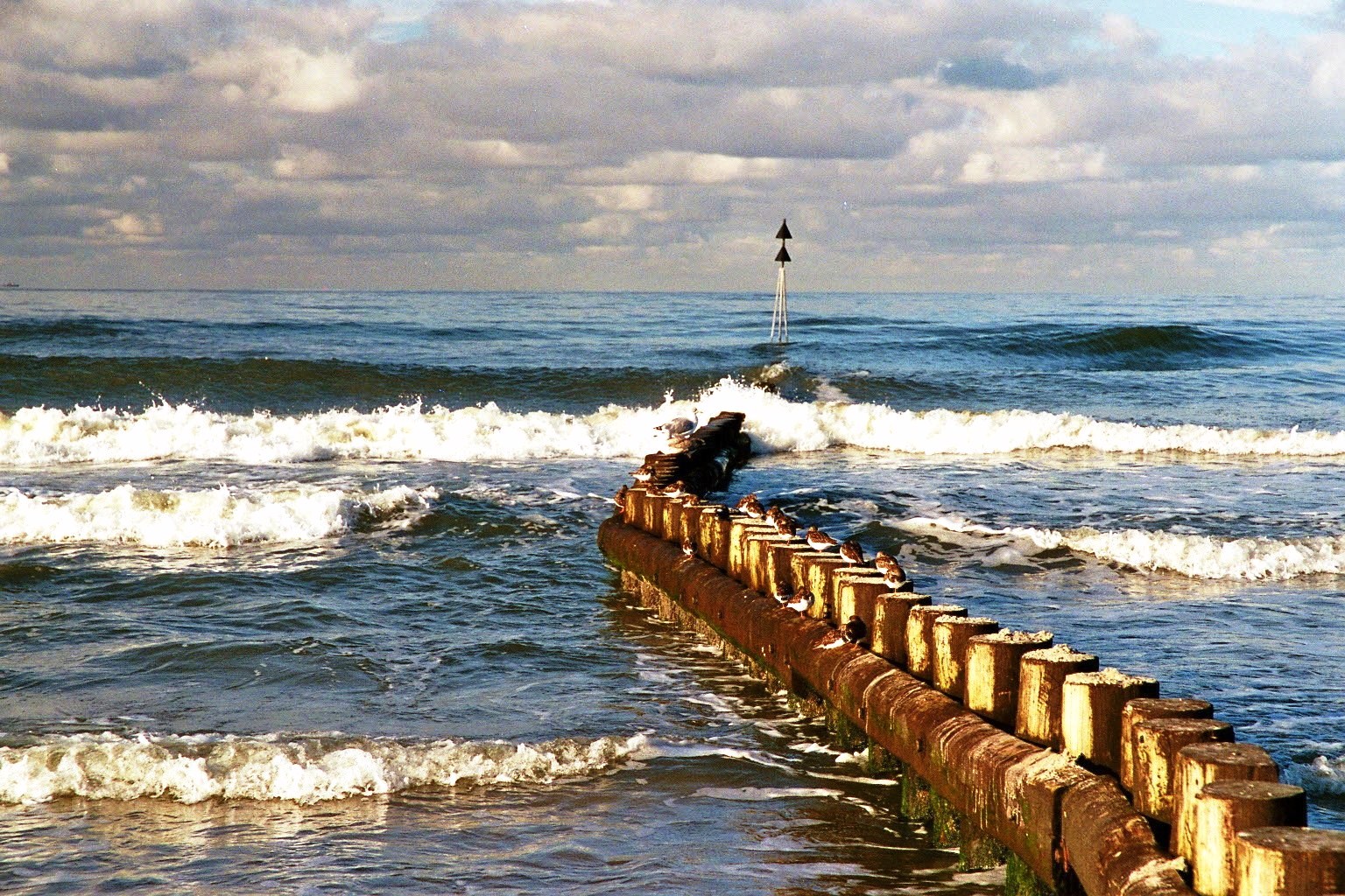 Küste Wangerooge