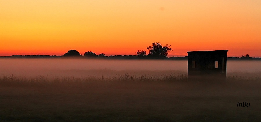 Küsten Nebel