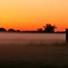 Küsten Nebel