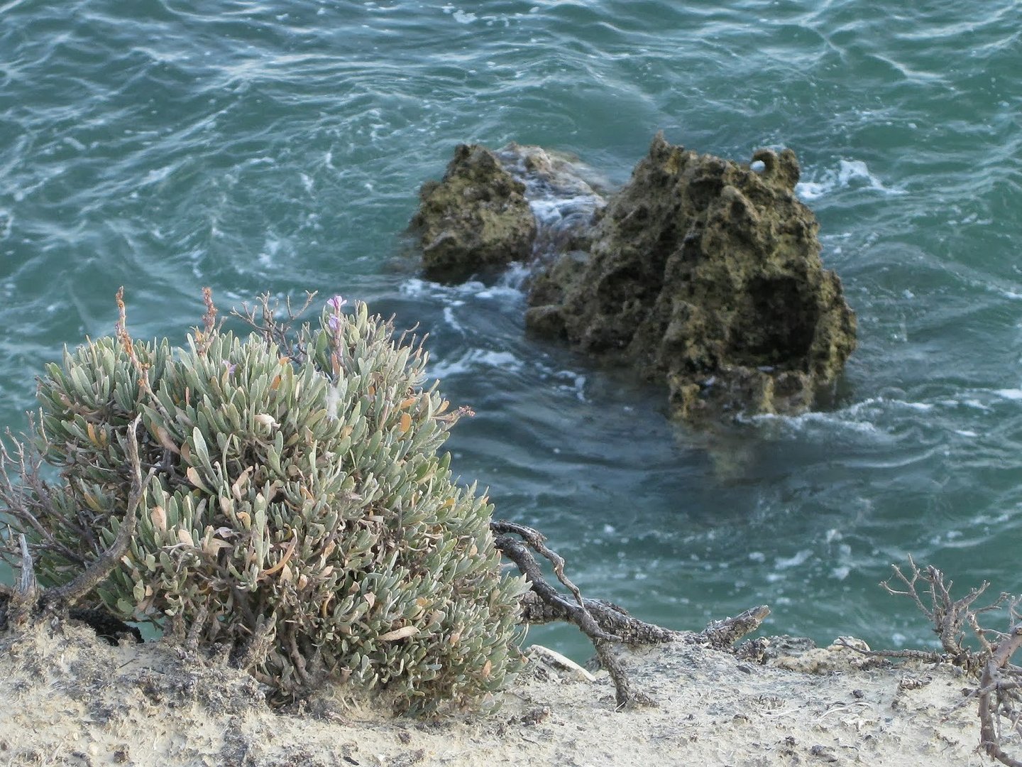 Küstenblick an der Algarve