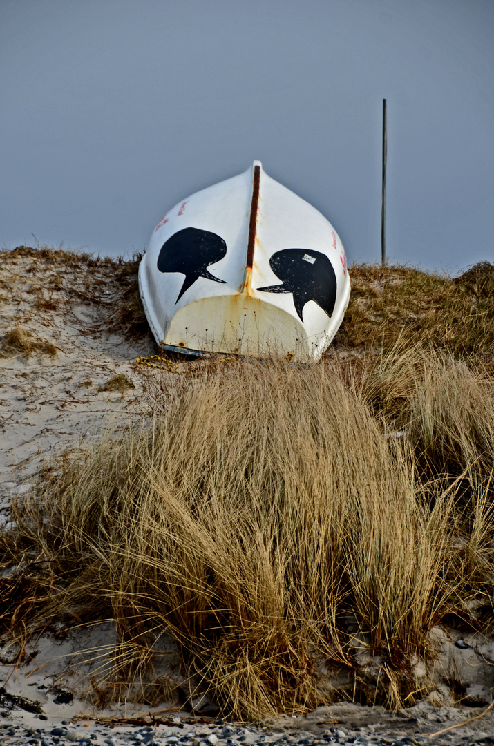 Küstendeich in Vitte Hiddensee