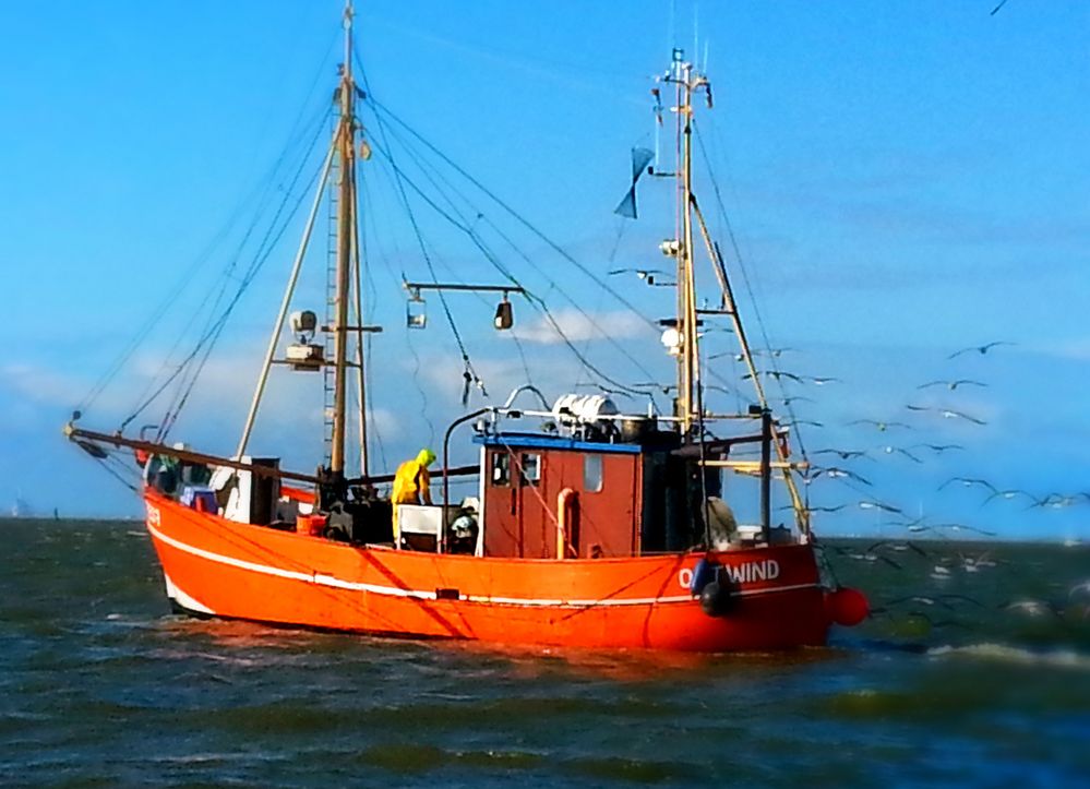 Küstenfischer Foto & Bild schiffe und seewege, motorschiffe, verkehr
