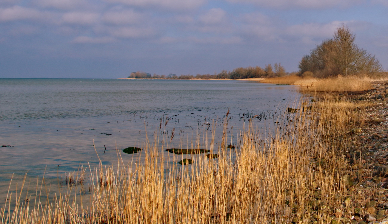 Küstenlandschaft