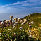 Küstenlandschaft am Cabo de Roca