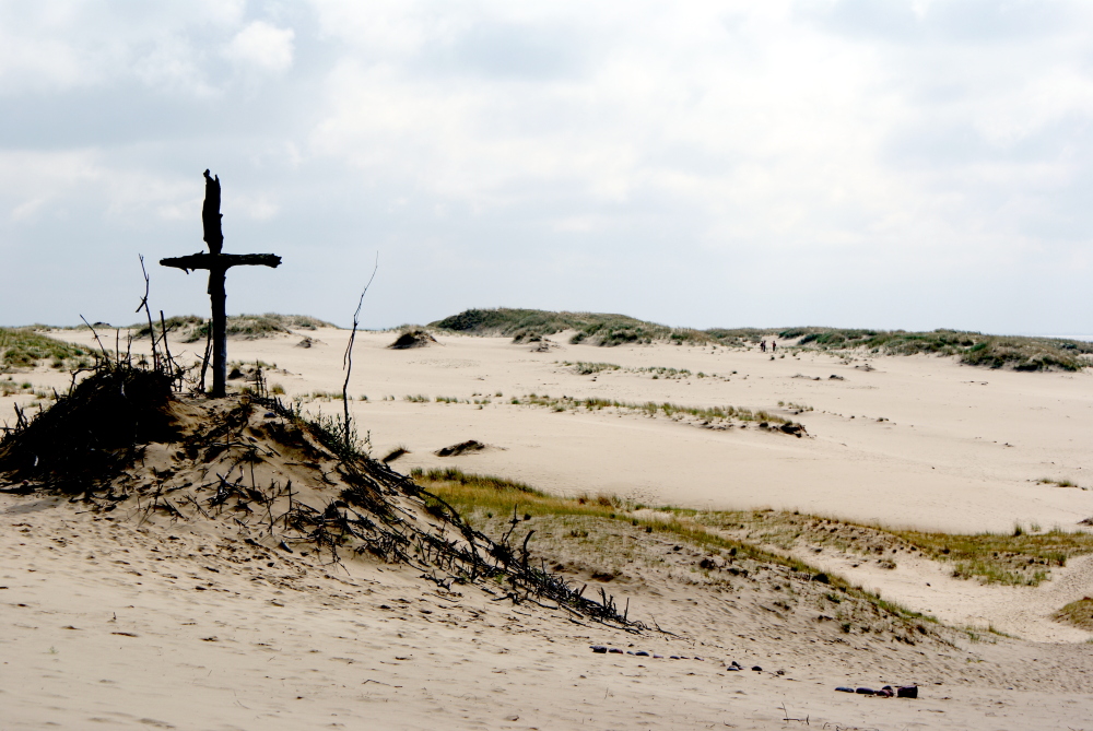 Küstenlandschaft an der Ostsee