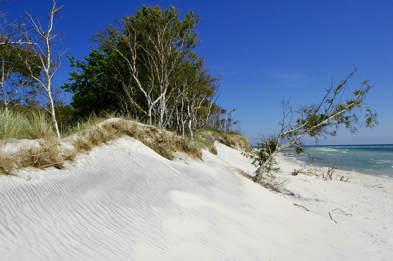 Küstenlandschaft bei Duodde/ Bornholm