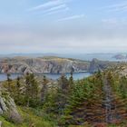 Küstenlandschaft bei Twillingate