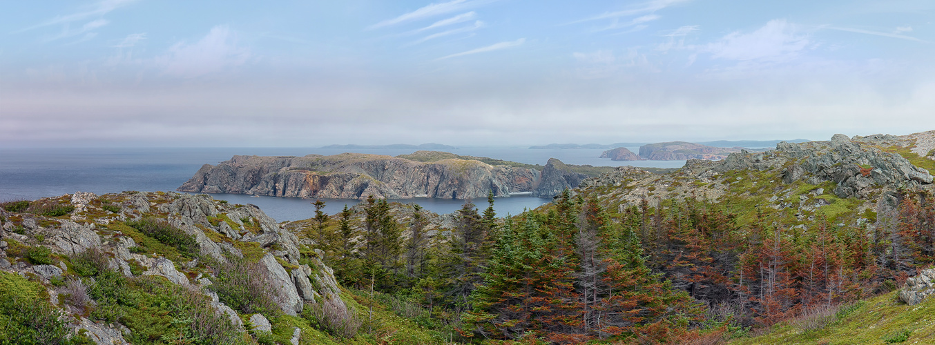 Küstenlandschaft bei Twillingate