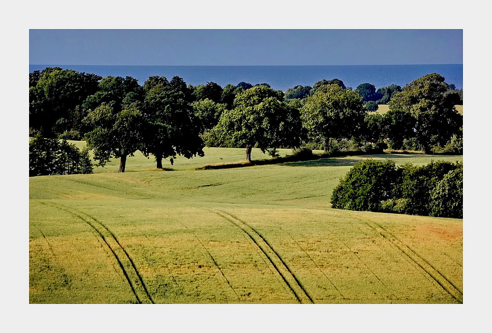 Küstenlandschaft