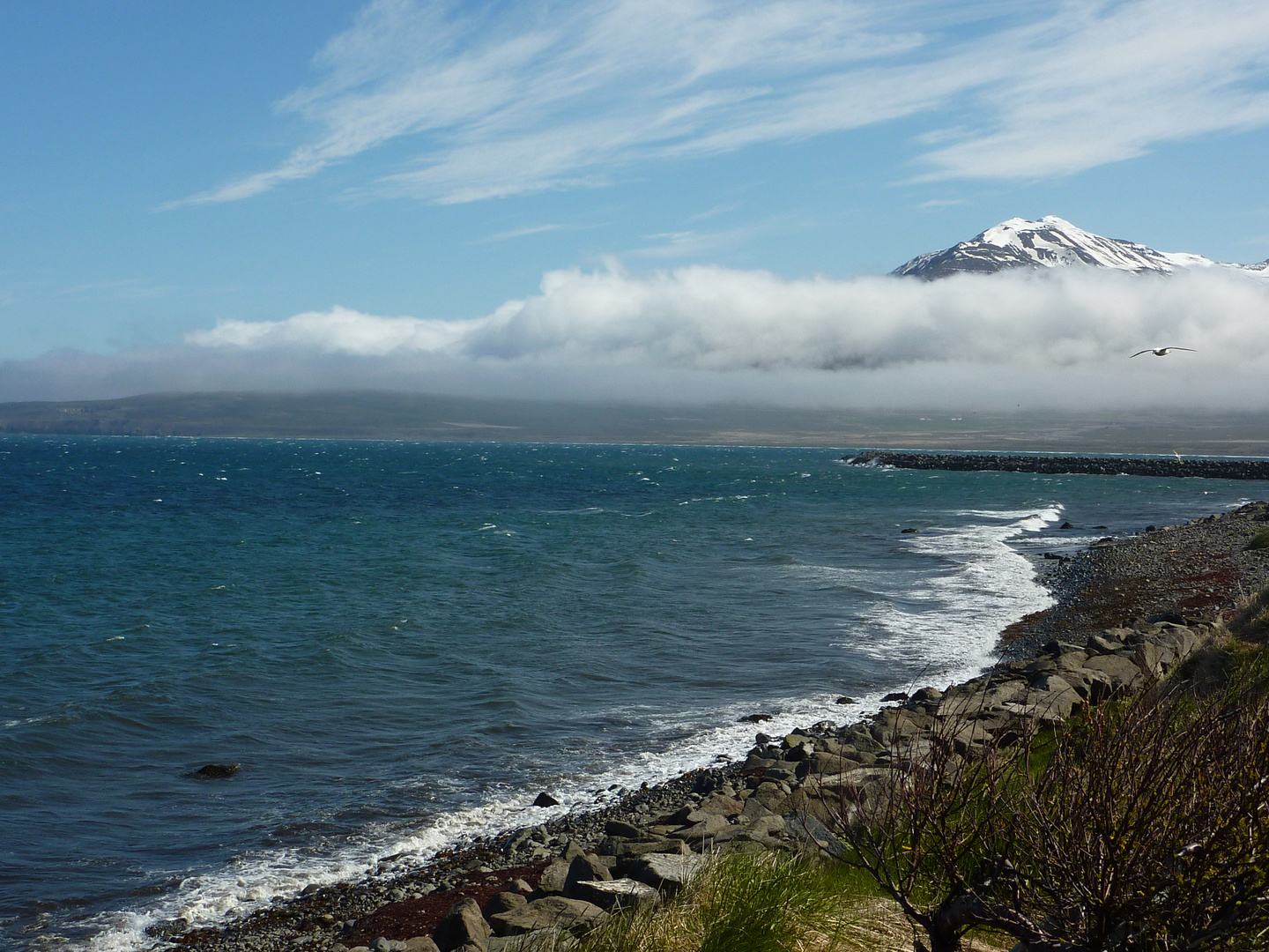 Küstenlandschaft in Island