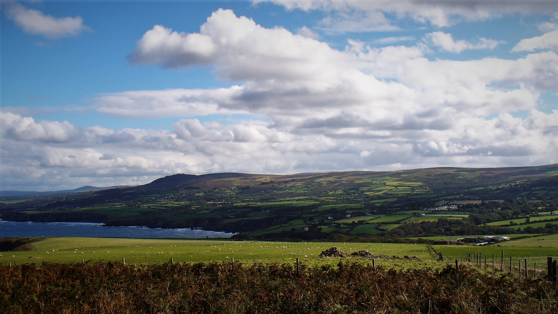 Küstenlandschaft in Wales ..unendliche Weite, sanfte Hügel, Schafe ......