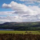 Küstenlandschaft in Wales ..unendliche Weite, sanfte Hügel, Schafe ......