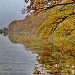 Küstenlandschaft - Naturbelassen