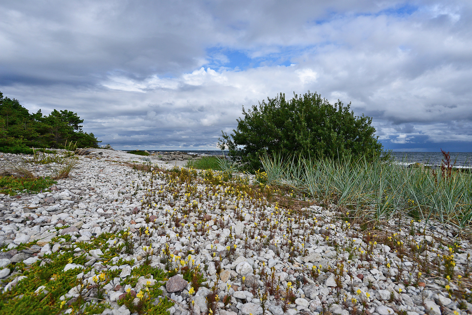 Küstenlandschaft. Schweden.