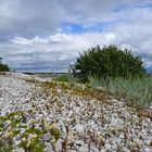 Küstenlandschaft. Schweden.