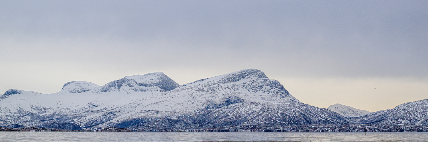 Küstenlinie auf den Lofoten