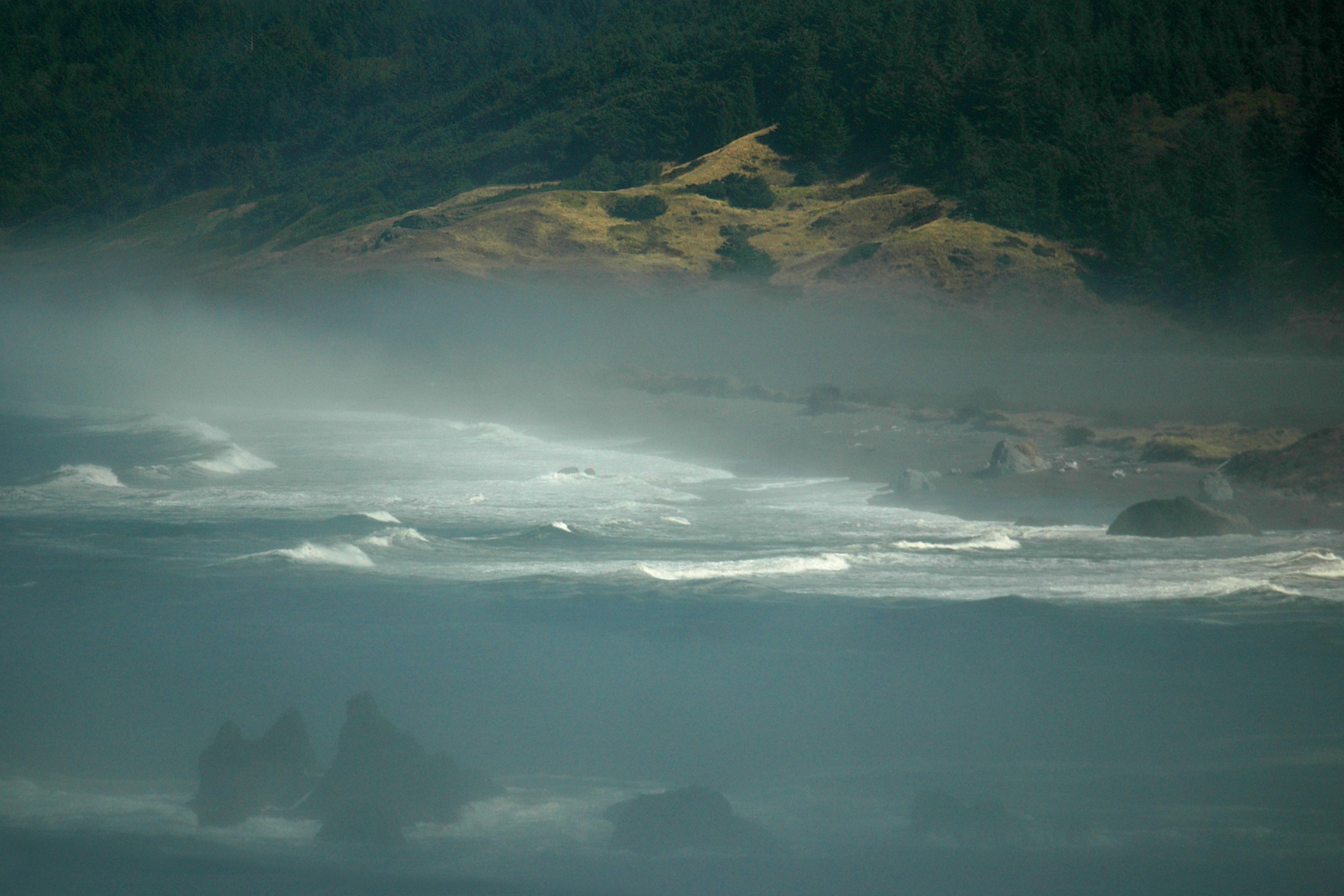 Küstennebel - Fog at Cape Blanco