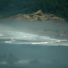 Küstennebel - Fog at Cape Blanco