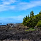 Küstenregion bei Ucluelet - Vancouver Island