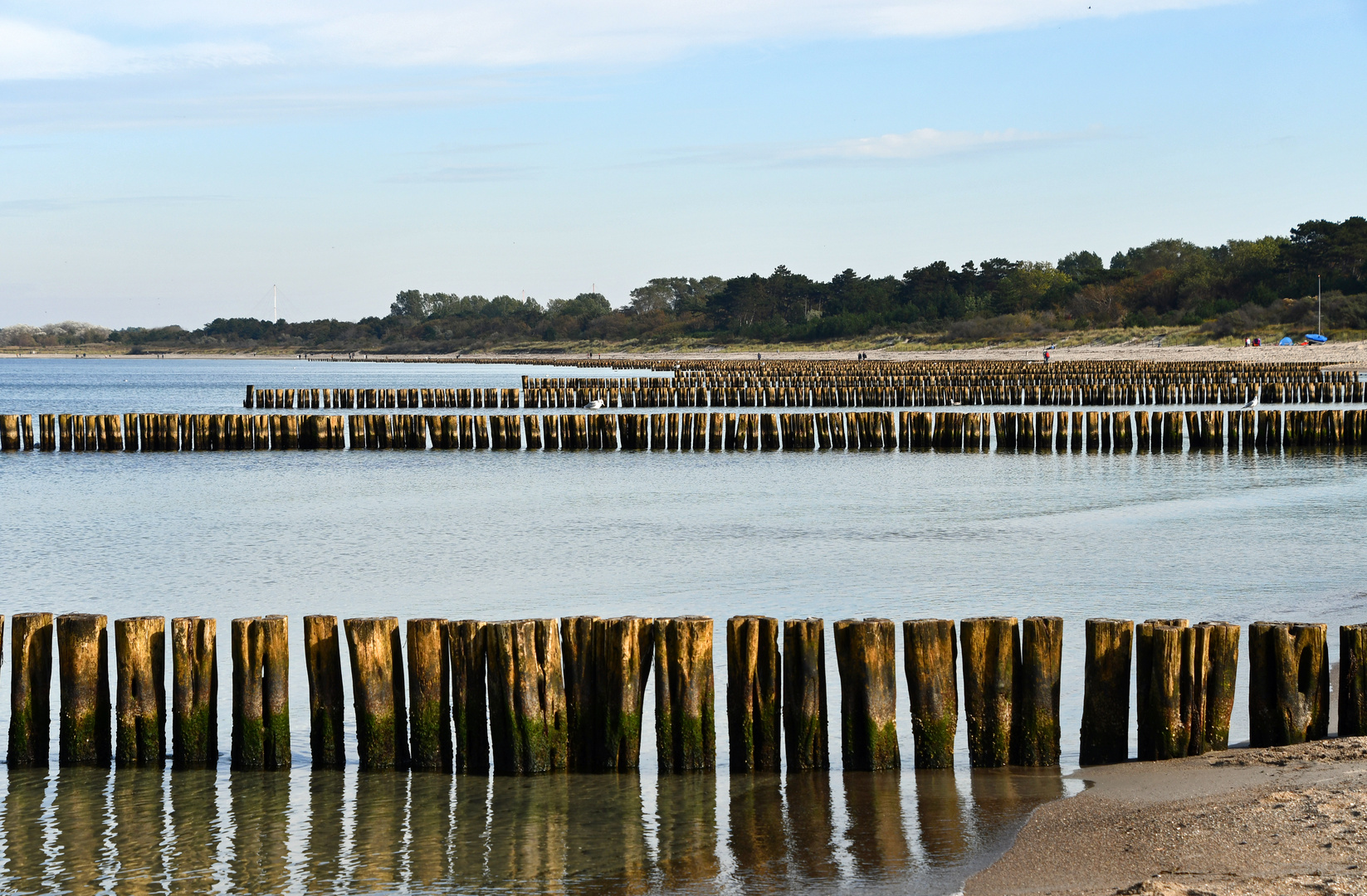 Küstenromantik an der Ostsee