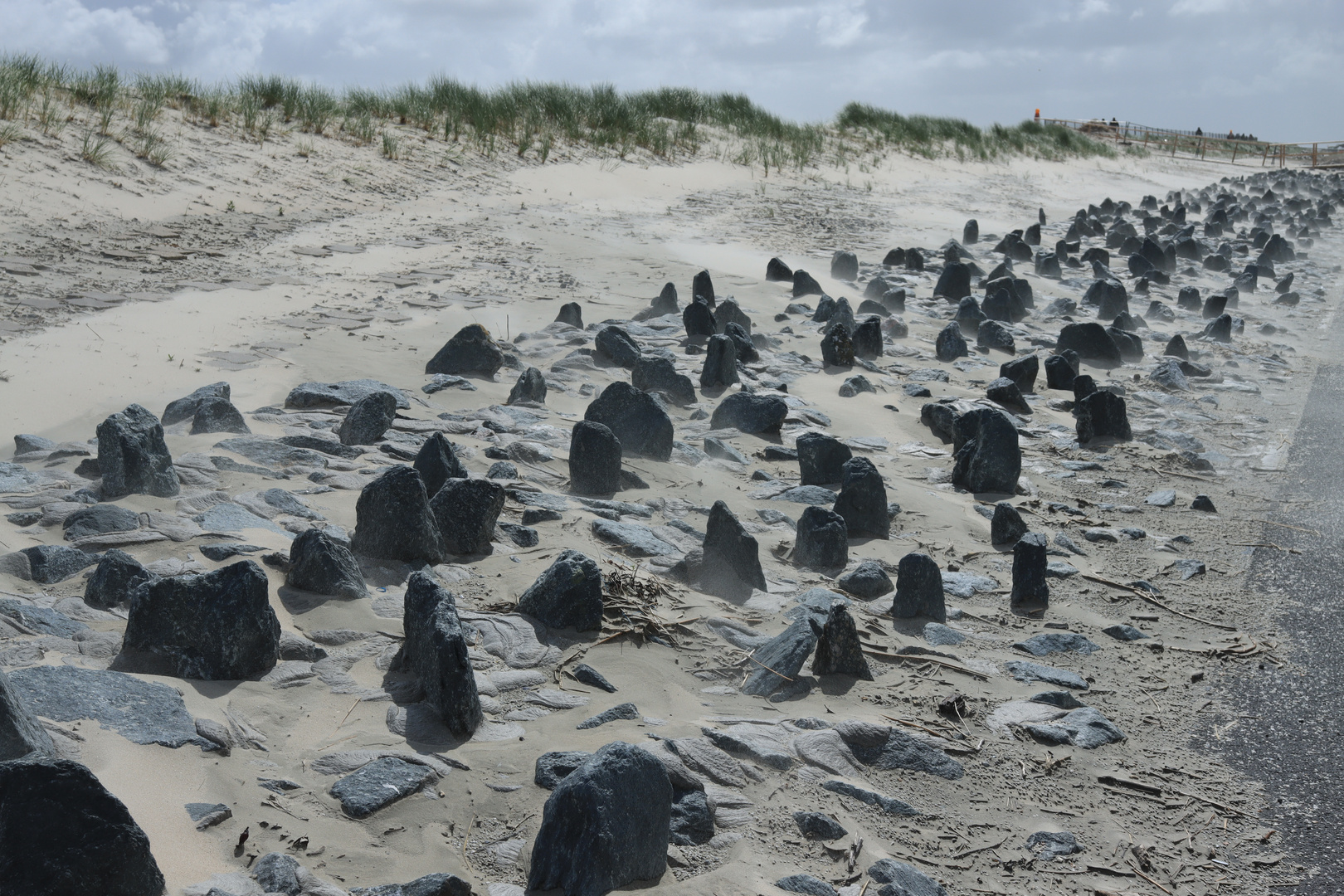 Küstenschutz Foto & Bild deutschland, europe, niedersachsen Bilder