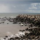 Küstenschutz auf Helgoland.