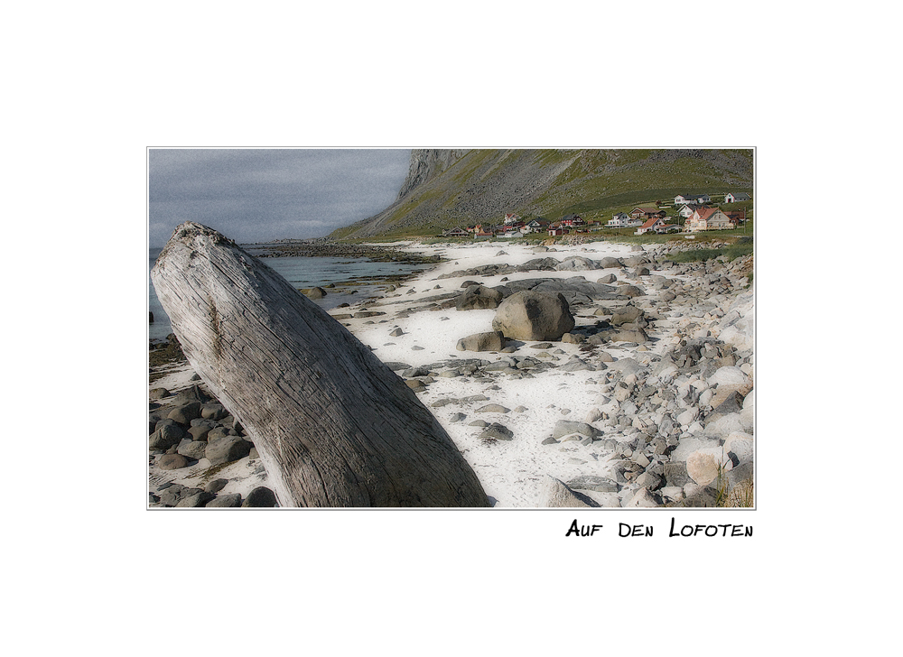 Küstenspaziergang auf den Lofoten