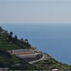 Küstenstraße in Cinque Terre
