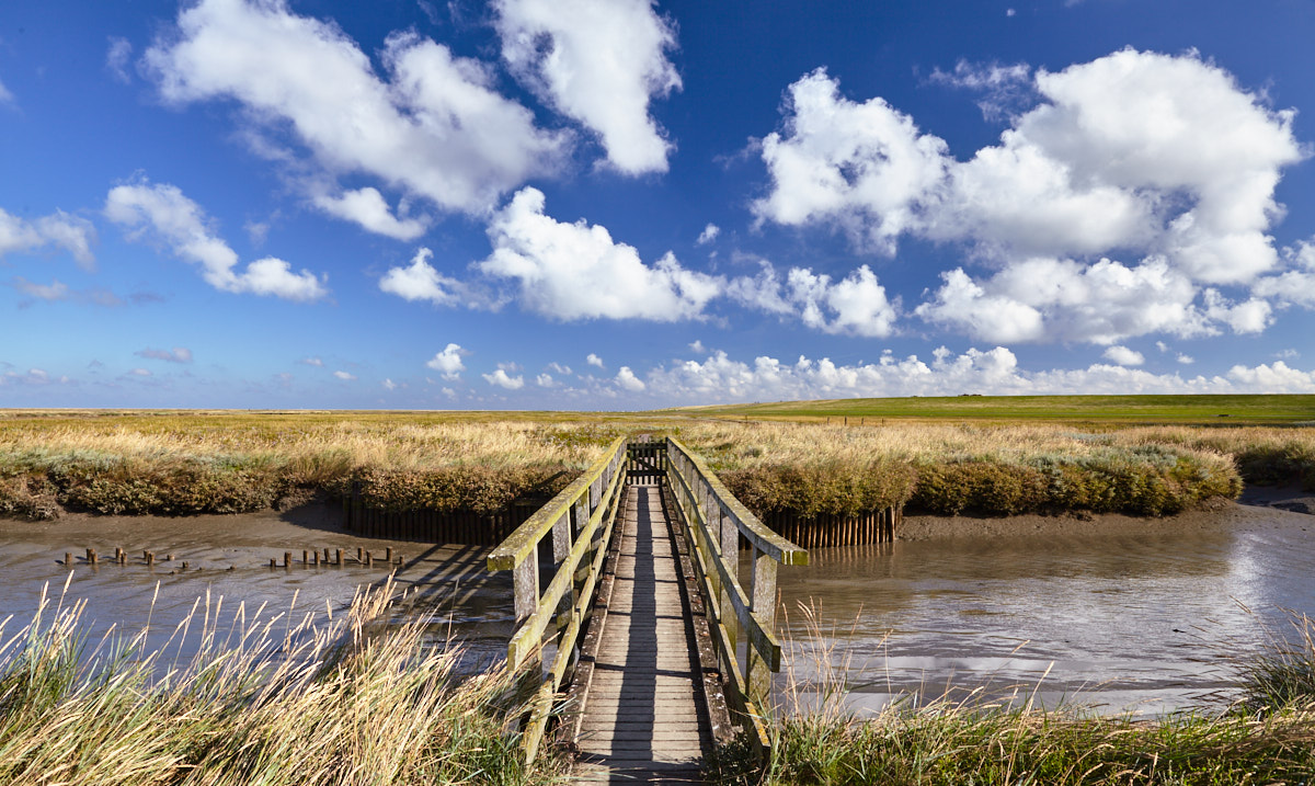 Küstenvorland Westerhever (Nordfriesland, Schleswig-Holstein) mit Holzbrücke