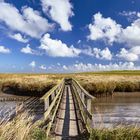 Küstenvorland Westerhever (Nordfriesland, Schleswig-Holstein) mit Holzbrücke