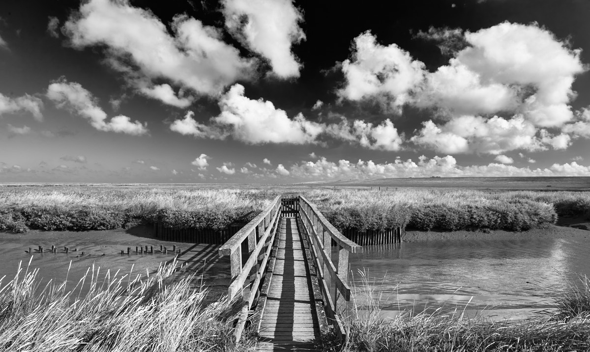 Küstenvorland Westerhever (Nordfriesland, Schleswig-Holstein) mit Holzbrücke, schwarz-weiß (sw)