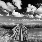 Küstenvorland Westerhever (Nordfriesland, Schleswig-Holstein) mit Holzbrücke, schwarz-weiß (sw)