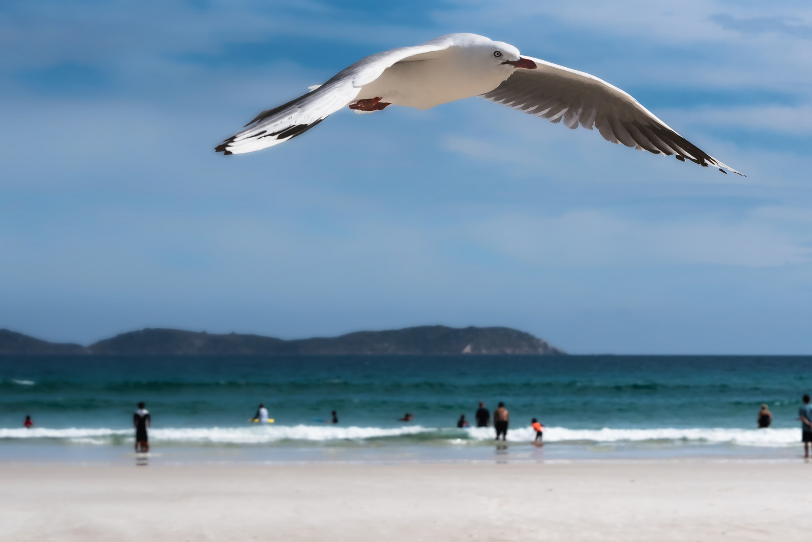 "Küstenwache" an der Squeaky Beach, Australien