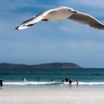 "Küstenwache" an der Squeaky Beach, Australien