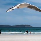 "Küstenwache" an der Squeaky Beach, Australien