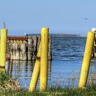 Küstenwanderweg Hafen Spandowerhagen (Freest Kröslin)