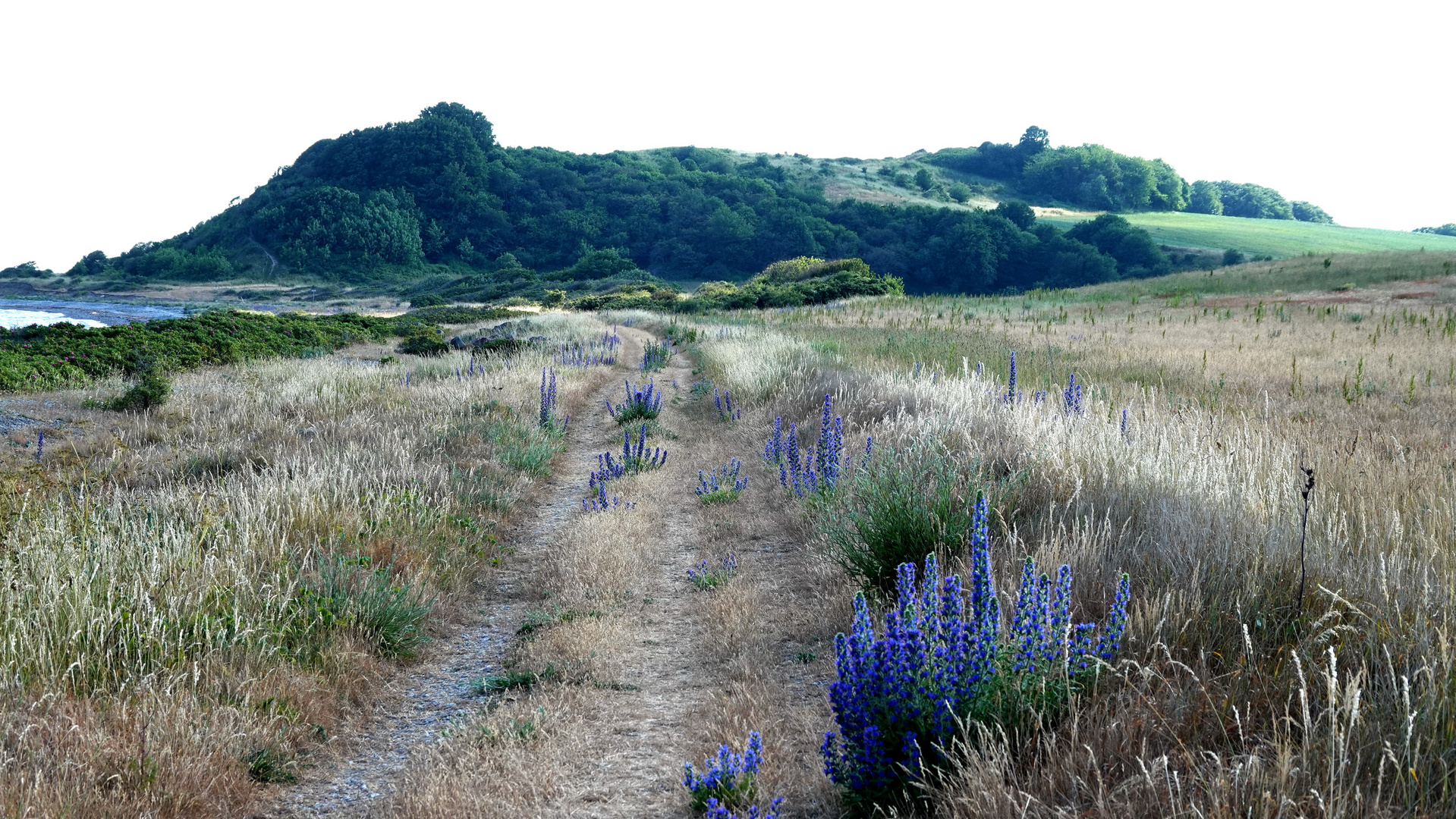 Küstenweg