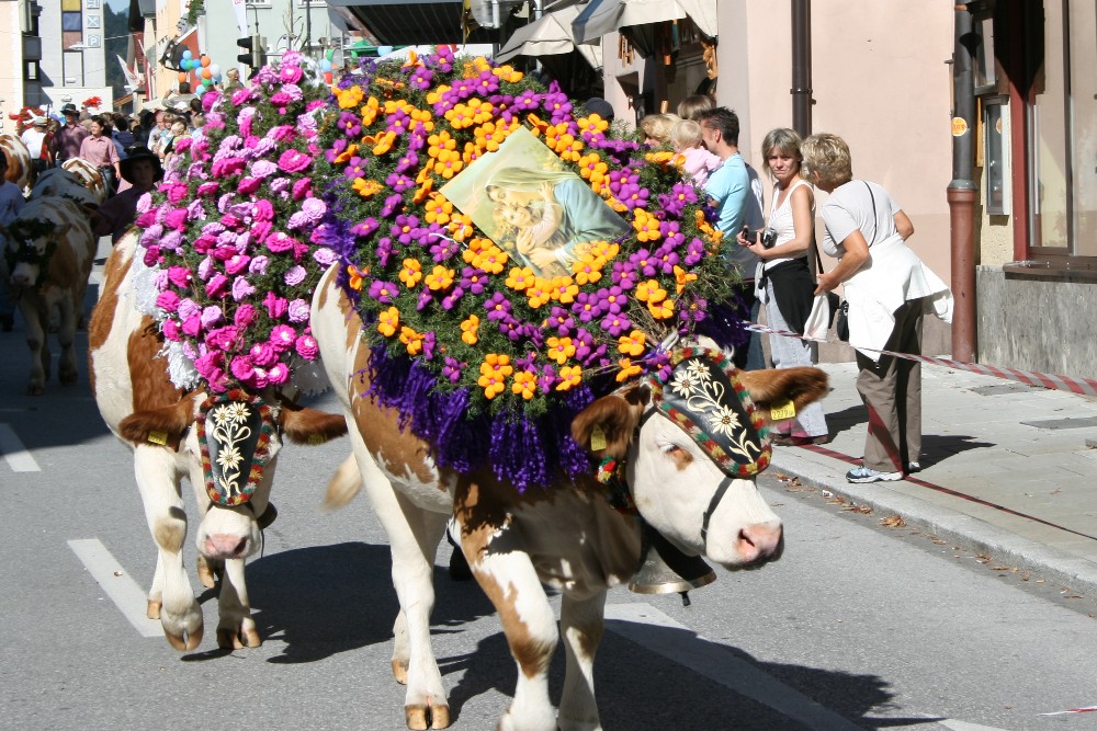 Kufstein, Almabtrieb