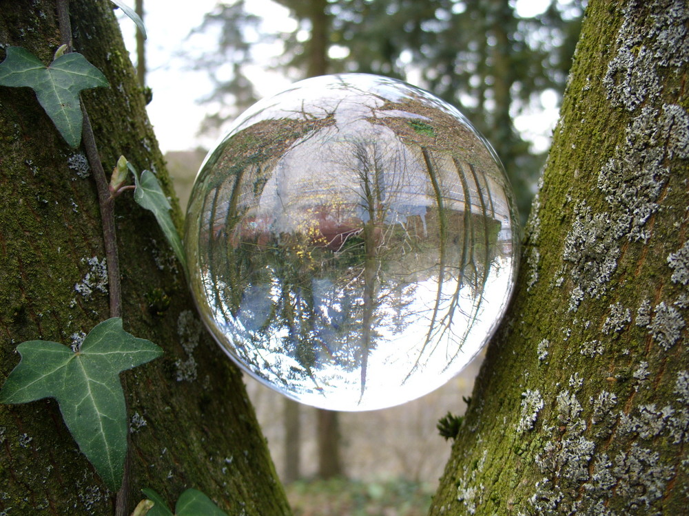 Kugel am Baum