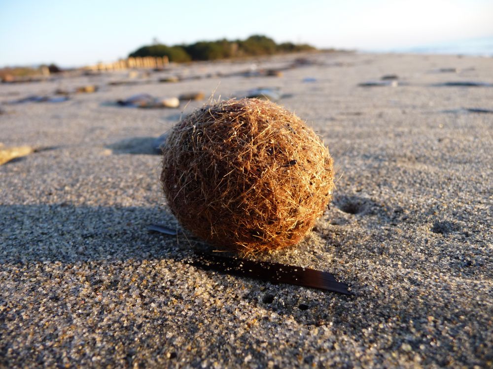 Kugel am Strand