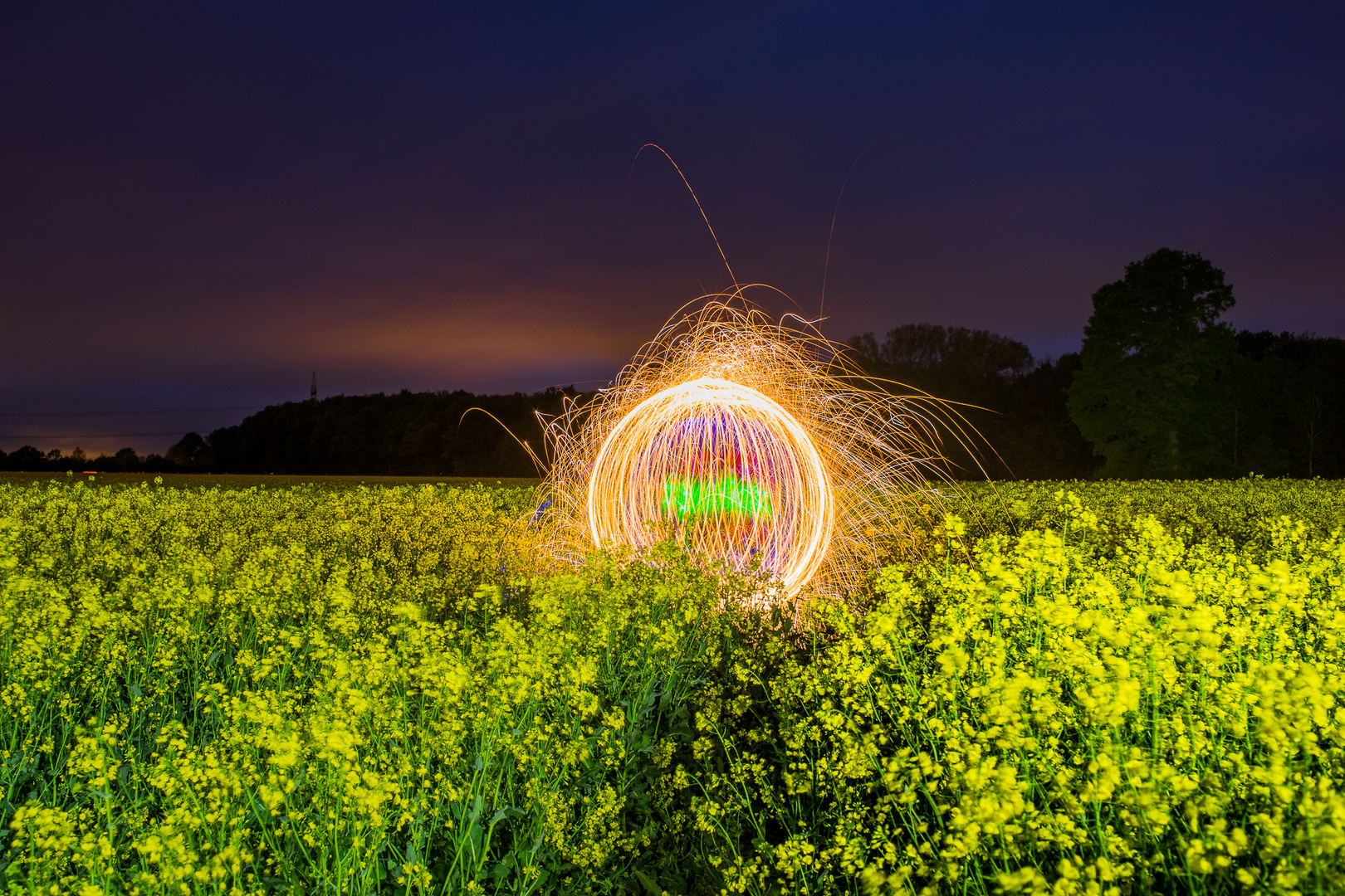 Kugel im Rapsfeld