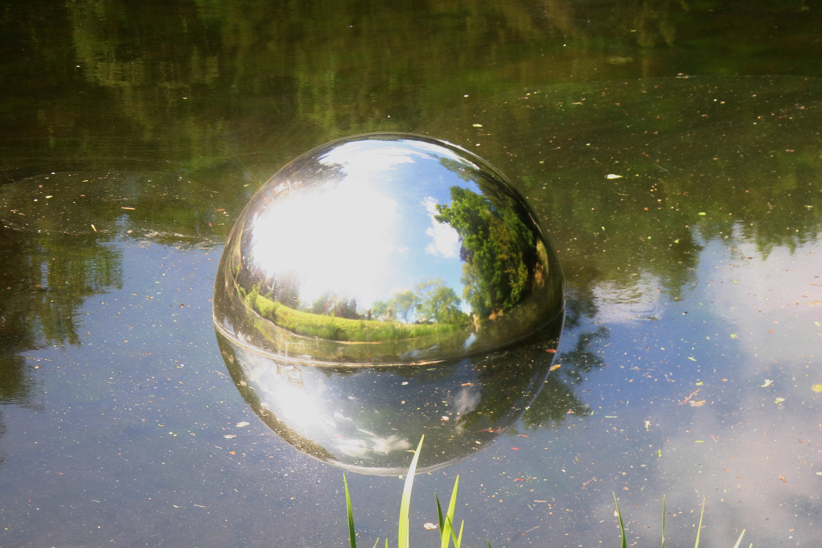 Kugel im Teich