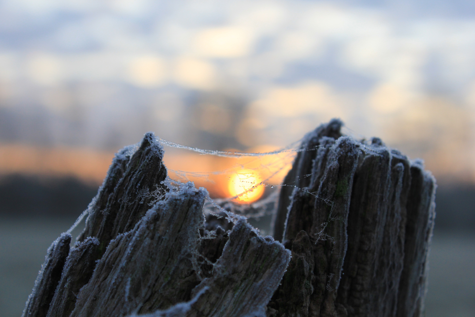 Kugel im Winter