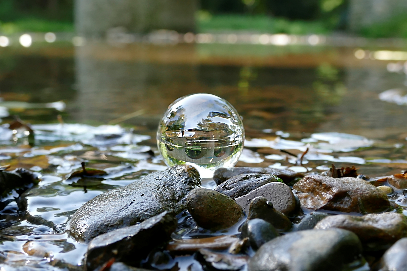 Kugel in der Nister