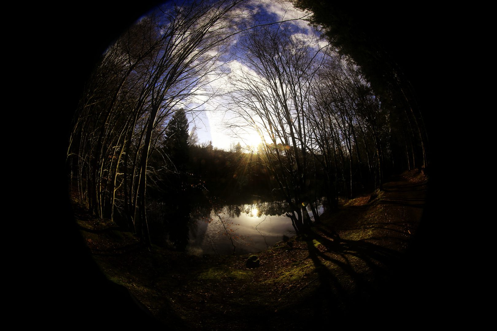 Kugelaufnahme mit dem Fisheye - Januar 2016