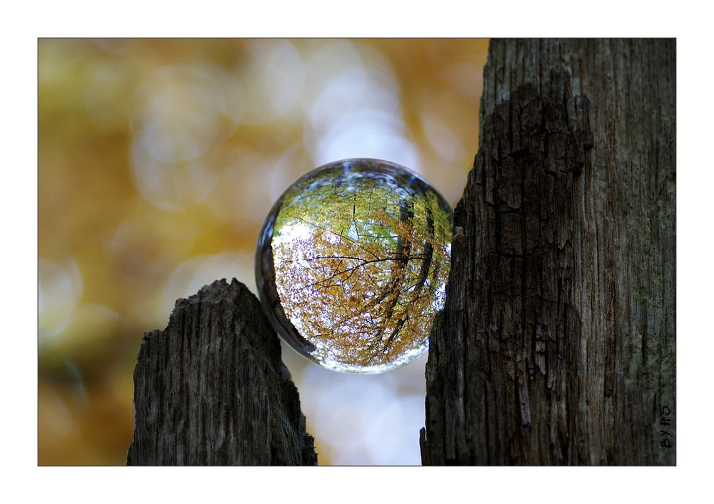 Kugelherbst