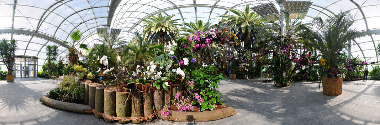 Kugelpanorama Mainau Orchideenschau