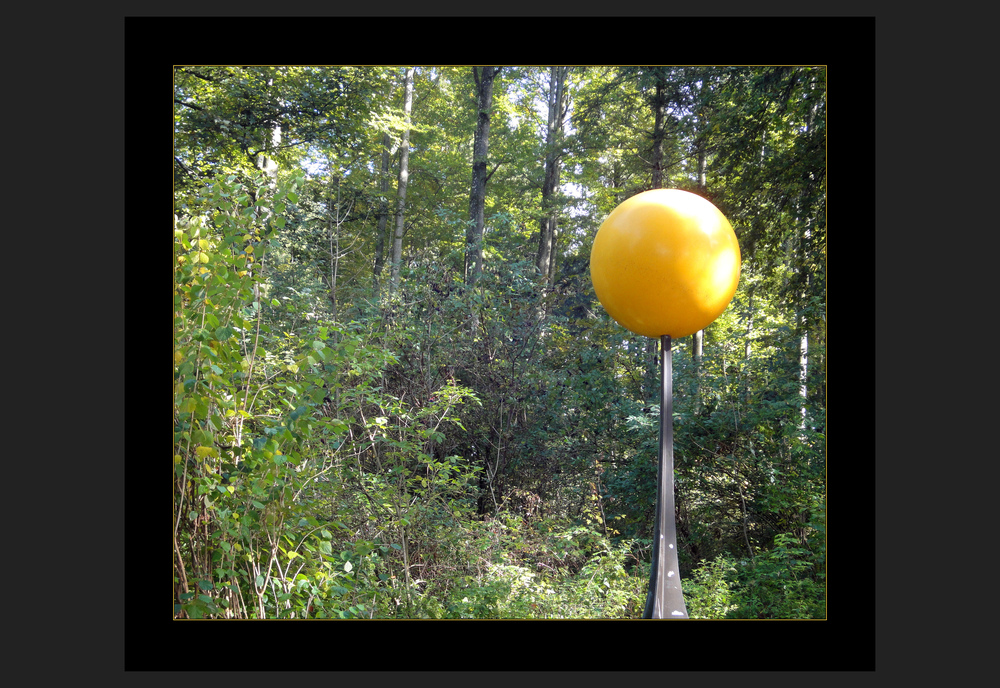 kugelrundes - 871 m über allem scheint im wald  die sonne