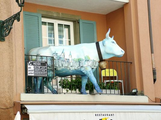 Kuh in Zürich, die erste...