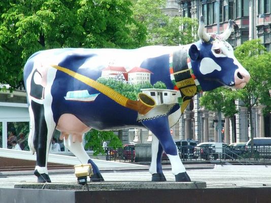 Kuh in Zürich, die zweite...